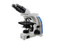 Επαγγελματικό μικροσκόπιο 100X εργαστηρίων μικροσκόπησης/επιστήμης τομέων βαθμού σκοτεινό προμηθευτής