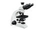 Εργαστηριακό βιολογικό μικροσκόπιο Trinocular/εργαστηριακό οπτικό μικροσκόπιο προμηθευτής
