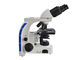 100X διοφθαλμικό ελαφρύ μικροσκόπιο εργαστηριακών βιολογικό μικροσκοπίων με τα φω'τα των οδηγήσεων 3W προμηθευτής