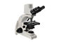 1000X ψηφιακό οπτικό ψηφιακό βιολογικό μικροσκόπιο ψηφιακών κάμερα μικροσκοπίων 5MP προμηθευτής