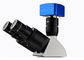 Επαγγελματικό οπτικό μεταλλουργικό μικροσκόπιο UM203i με την πηγή φωτός 12V 50W προμηθευτής
