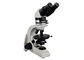 Μεταλλουργικό μικροσκόπιο 4X 10X 40X 60X Trinocular για την κατάρτιση αμιάντων προμηθευτής