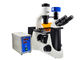 Μικροσκόπιο φθορισμού αντίθεσης φάσης UOP με το φίλτρο Β Γ προμηθευτής