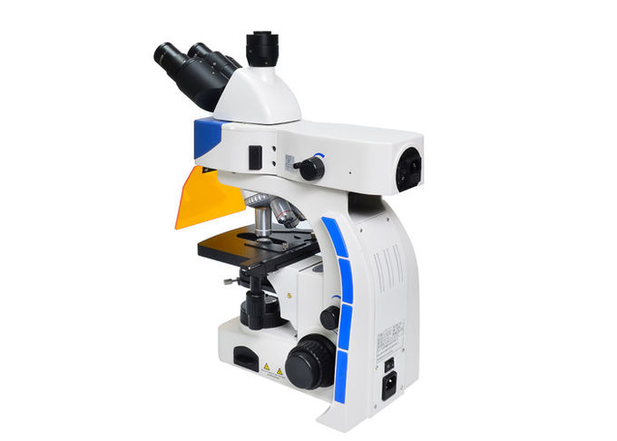 Όρθιο μικροσκόπιο φθορισμού Trinocular οδηγήσεων με το φίλτρο φθορισμού Β & Γ