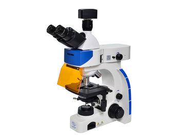 Κίνα Όρθιο μικροσκόπιο φθορισμού Trinocular οδηγήσεων με το φίλτρο φθορισμού Β &amp; Γ προμηθευτής