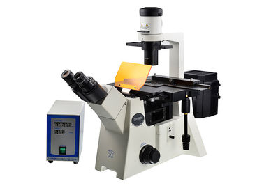 Κίνα DSY5000X οπτικό όρθιο και μικροσκόπιο φίλτρων μικροσκοπίων B/G/V/UV προμηθευτής