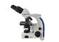 100X διοφθαλμικό ελαφρύ μικροσκόπιο εργαστηριακών βιολογικό μικροσκοπίων με τα φω'τα των οδηγήσεων 3W προμηθευτής