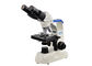 100X εργαστηριακό βιολογικό μικροσκόπιο διοπτρών για το δημοτικό σχολείο προμηθευτής