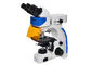Όρθιο μικροσκόπιο φθορισμού UOP, μικροσκόπηση φθορισμού υψηλής ανάλυσης προμηθευτής