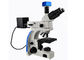 Διαβιβασθε'ν ελαφρύ όρθιο μικροσκόπιο UMT203i φθορισμού για τα δικανικά εργαστήρια προμηθευτής