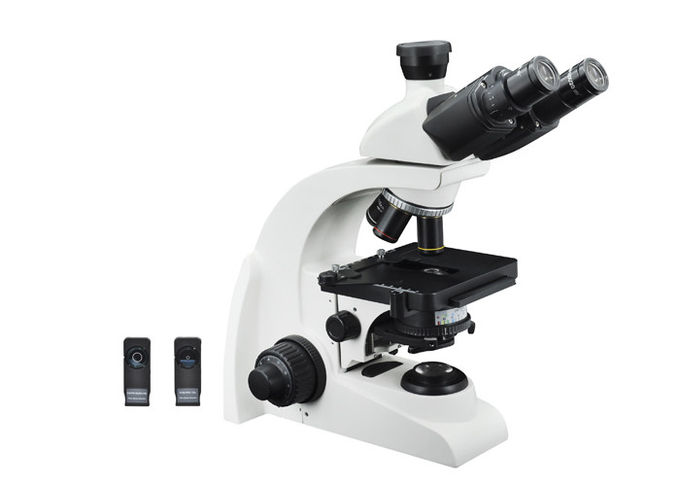 Βιολογικό ελαφρύ μικροσκόπιο 40X αντίθεσης φάσης - ενίσχυση 1000X