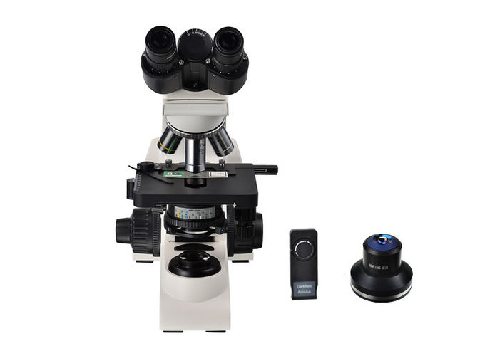 Φωτεινό διοφθαλμικό UOP τομέων τομέων σκοτεινό μικροσκόπιο 10X 40X 100X μικροσκόπησης