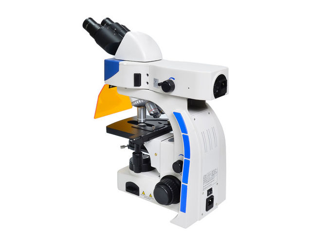 UY202i-οδηγημένος όρθιο μικροσκόπιο φθορισμού με το φίλτρο UV & φθορισμού Β