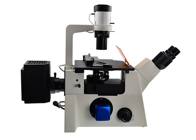 DSY5000X οπτικό όρθιο και μικροσκόπιο φίλτρων μικροσκοπίων B/G/V/UV